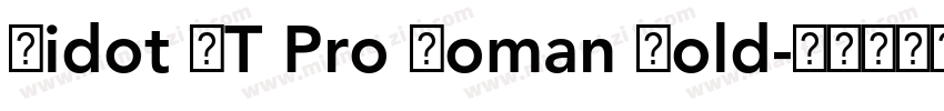 Didot LT Pro Roman Bold字体转换